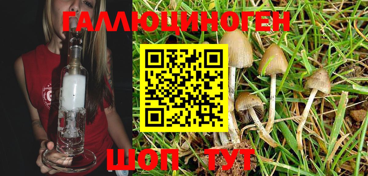 как найти   Псилоцибиновые грибы Magic Shrooms  Вход с VPN  Псилоцибиновые грибы мухоморы  Губкин 