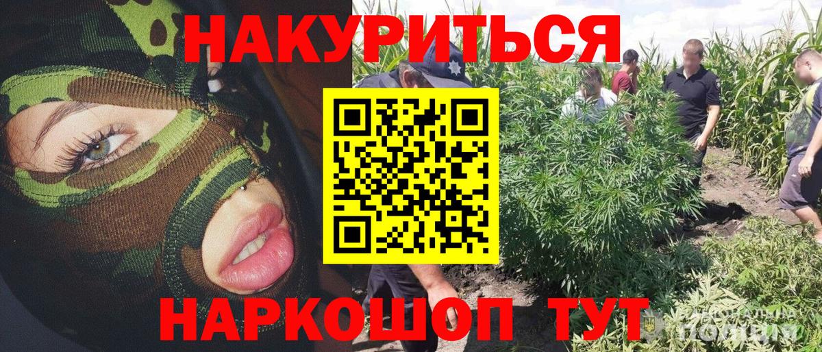 Шишки марихуана Amnesia Губкин